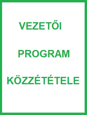 Vezeti program