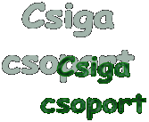 Csiga
csoport