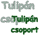 Tulipn
csoport